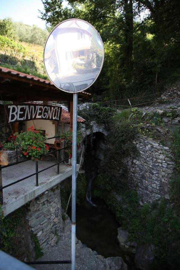A Ca Du Barbijun Villa Pieve di Teco Eksteriør billede